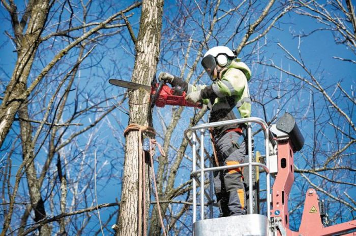 Пила ланцюгова акумуляторна MILWAUKEE, M18FCHS-121, 400 мм (зарядний пристрій, 1 акум.Х 12Ач)