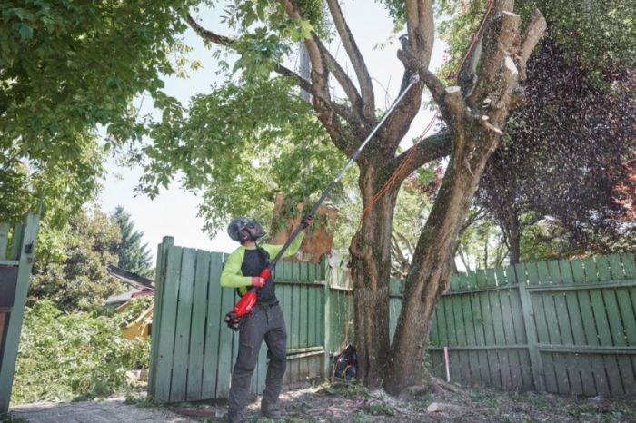 Висоторіз телескопічний акумуляторний MILWAUKEE M18 FTPS30-121, 300мм (ЗП+1ак.Х12Аг) FORGE™